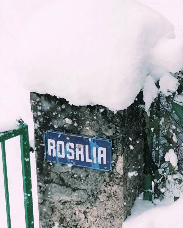 Villa Rosalia Villanúa Εξωτερικό φωτογραφία